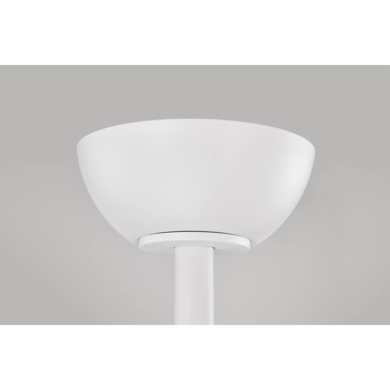 Duncan Modern 3 Bladed Ceiling Fan with Remote
