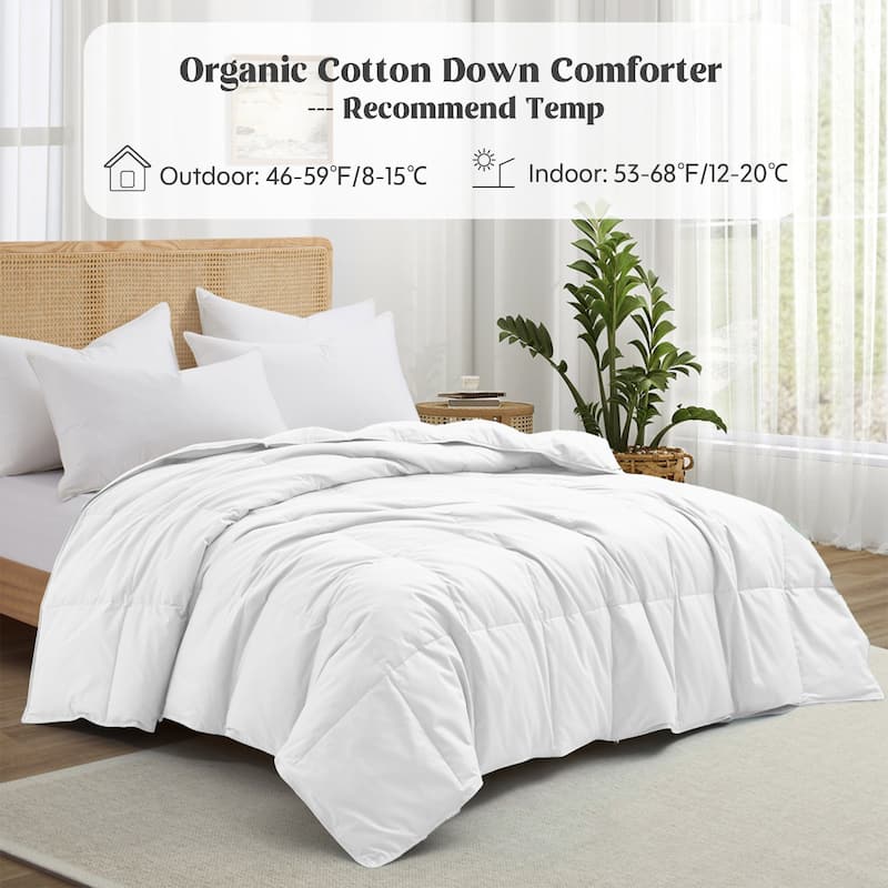 All Season 100% Organic Cotton Down Breathable Duvet Insert Medium Warmth Comforter