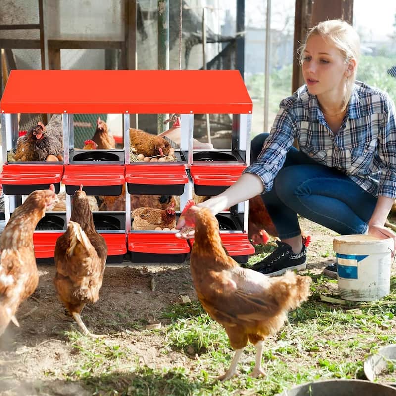 Metal Chicken Nesting Box