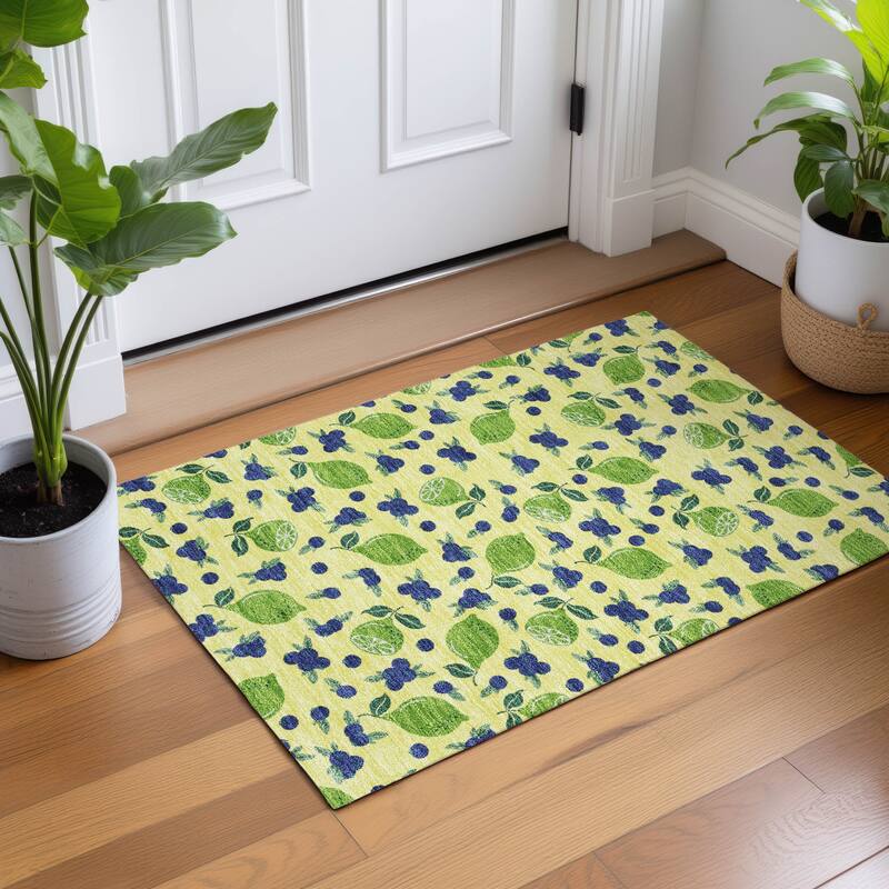 Machine Washable Indoor/ Outdoor Citrus Berry Chantille Rug