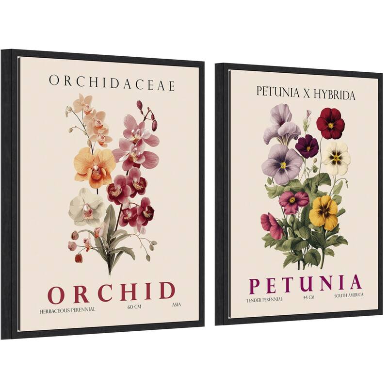 Amanti Art Vintage Orchid Petunia & Hydrangea 2 Piece by Christopher Giampietro Framed Canvas Wall Art