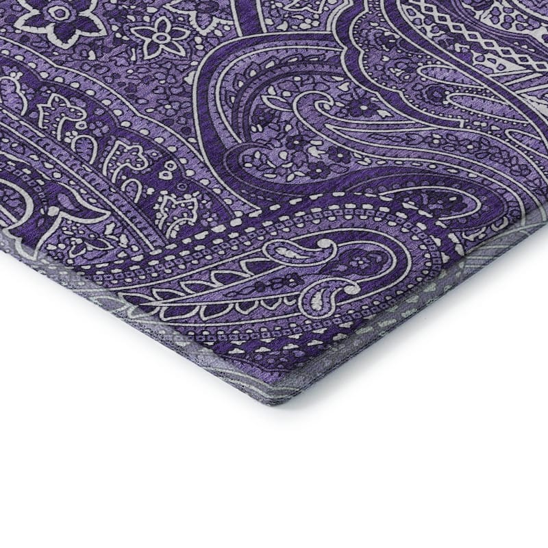 Premium Washable Super Soft Traditional Paisley Mayfield Rug