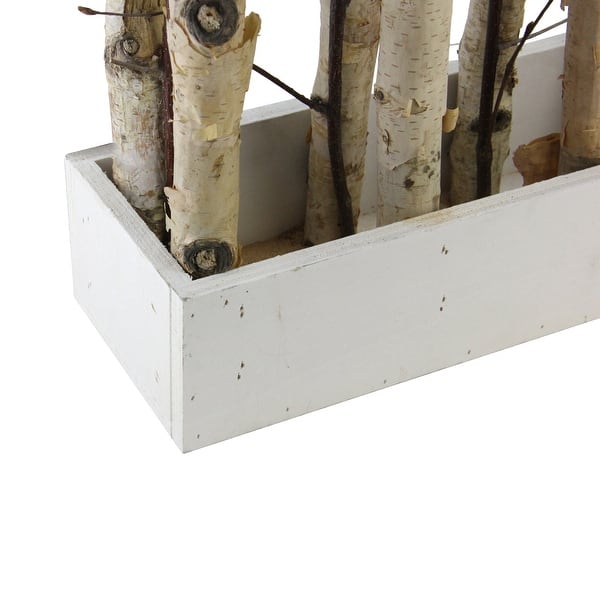 Shop 18 75 Brown And White Mixed Branch Bouquet In A Box Tabletop