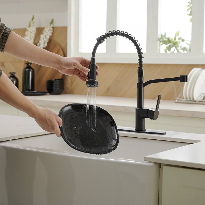 WIZ Pull-Down Sprayer 2 Spray High Arc Kitchen Faucet