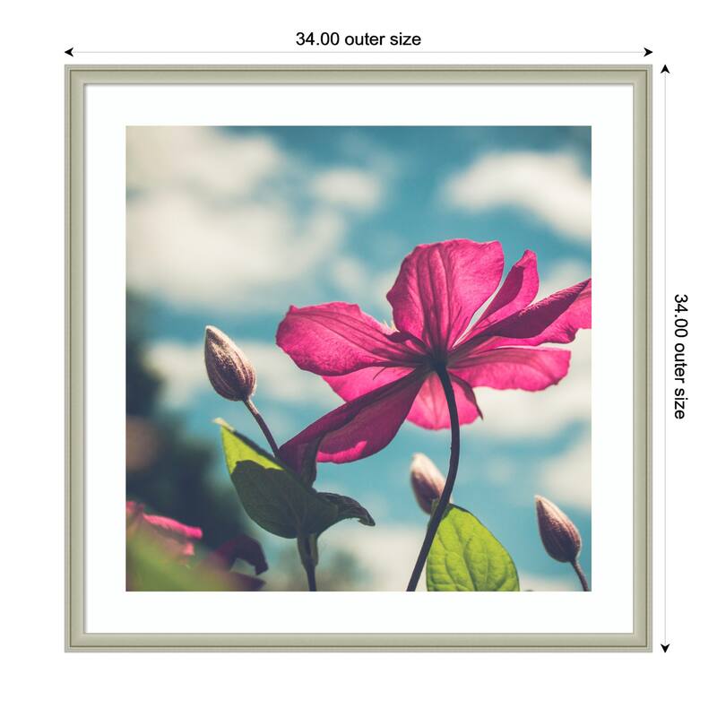 Kate and Laurel Framed Art Flower in the Sky by Stephanie Klatt