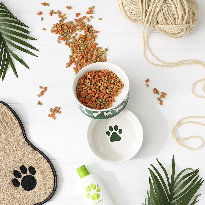 Bone Dry Pet Bowl Cats Meow (Set of 2)