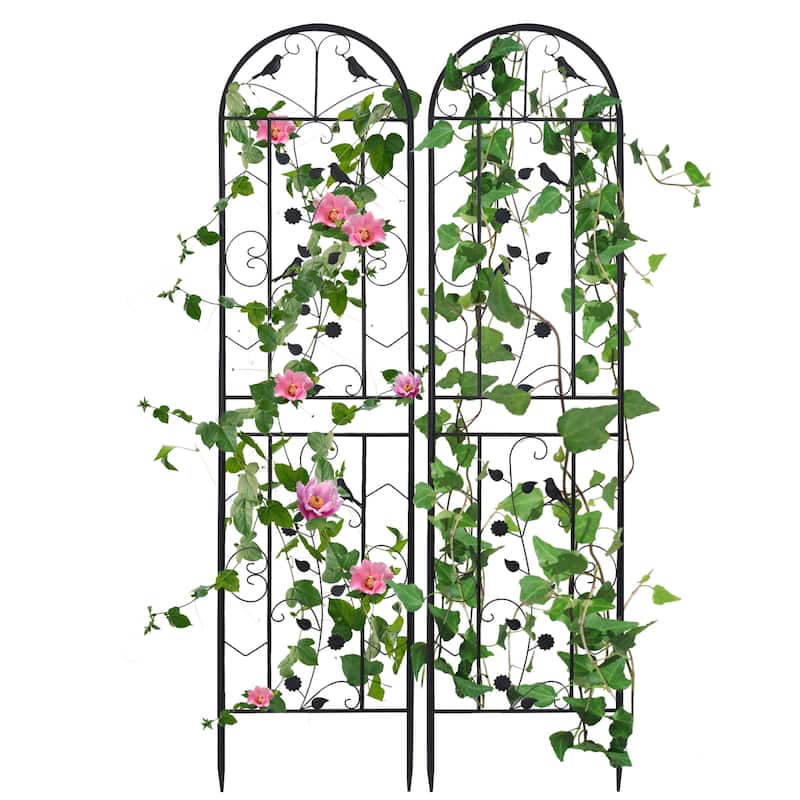 Tall Decorative Garden Fences Metal Garden Trellis Climbing (Set of 2) - 19.7x82.7 inch