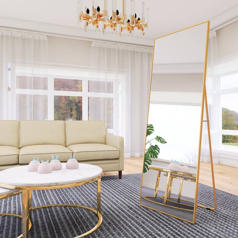 65" x 24" Full Length Mirror with Alloy Frame - Gold