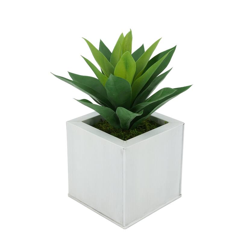 Faux Frosted Light Green Succulent in Square Zinc Planter - Cream
