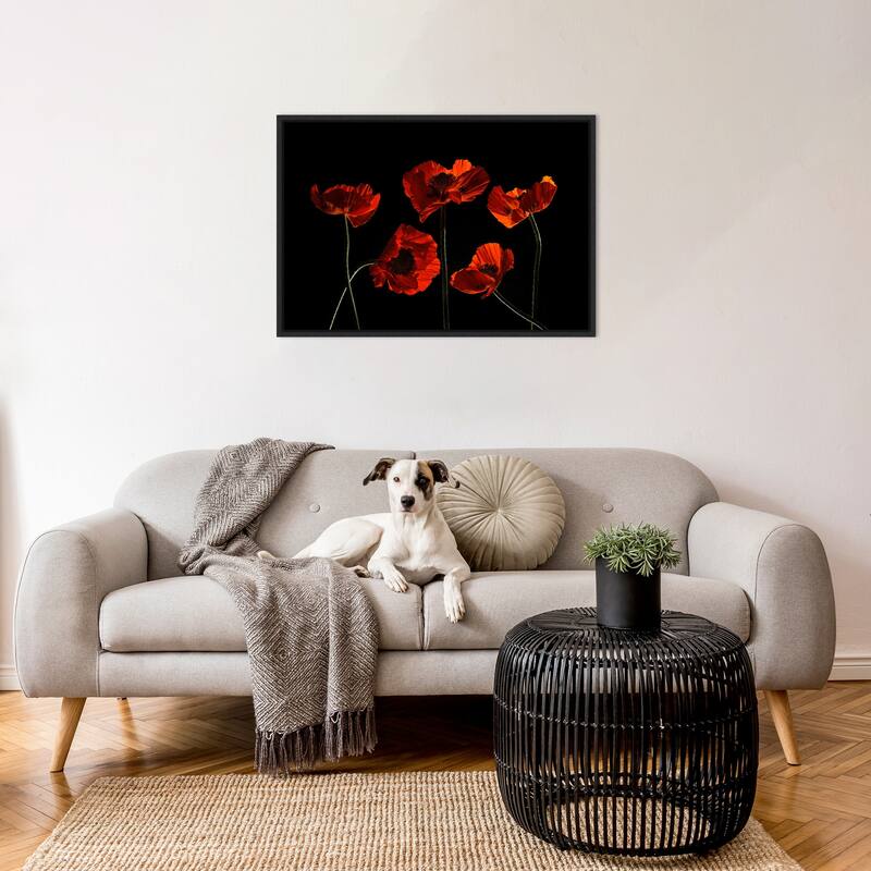 Five Red Poppies by Lydia Jacobs (33 x 23 in.), Framed Canvas Wall Art Print