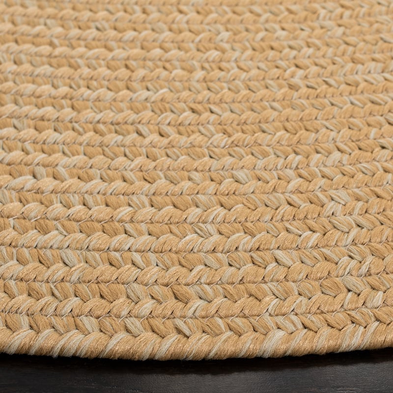 SAFAVIEH Handmade Braided Country Casual Lavada Rug