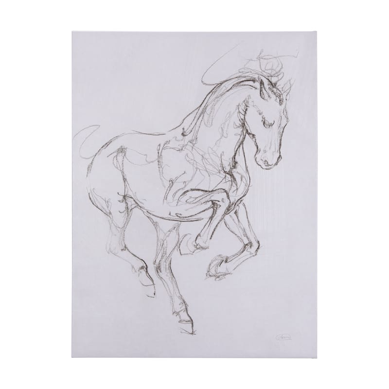 Horse I (42 x 56 ) Canvas Art Print - Large