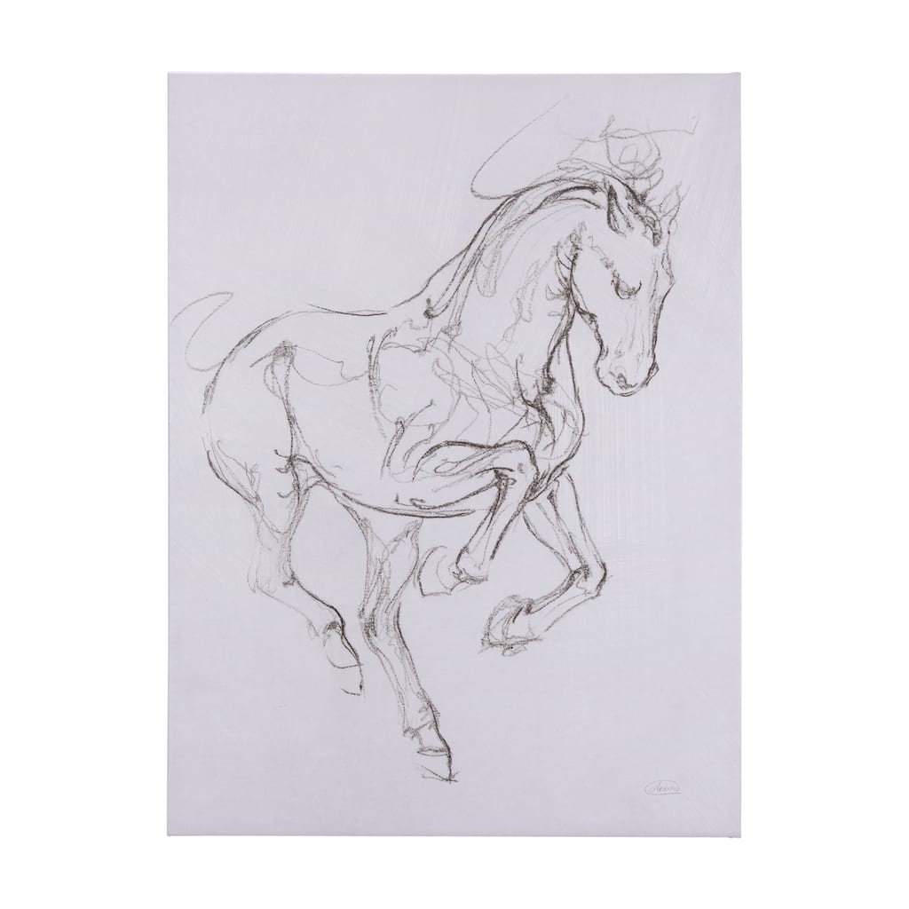 Horse I (42 x 56 ) Canvas Art Print