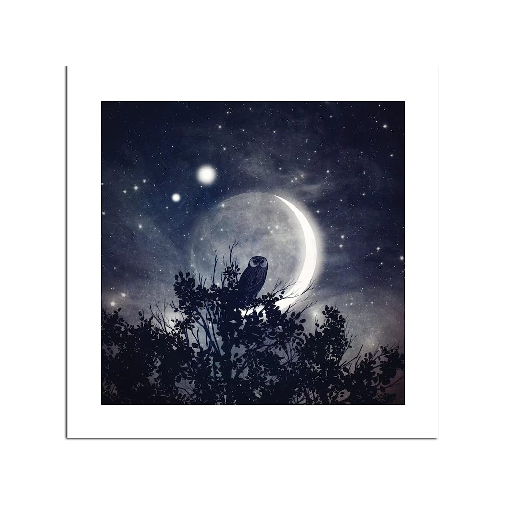 The Moon, Venus, & Jupiter Fine Art by Paula Belle Flores - Multi