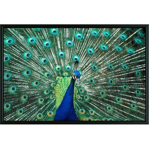 Shop Easy Art Prints Bill Bachmann S Beautiful Peacock Spreading Colorful Feathers Premium Canvas Art Overstock 25741745