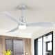 Option Silver Canopy/White Wood Blades