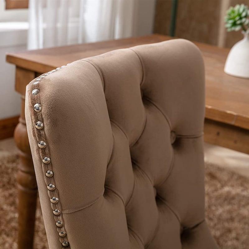 Velvet Dining Chairs Set of 2, Accent Diner Chairs Upholstered Fabric Living Room Chairs Side Chair Stylish Kitchen Chairs