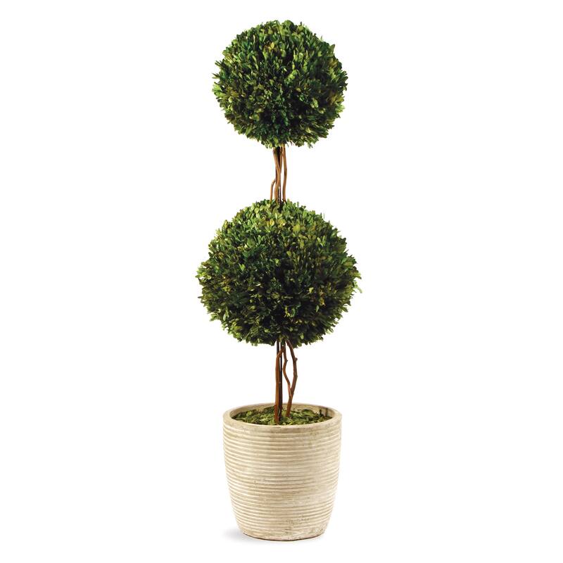 Boxwood Double Sphere Topiary 28" - Green