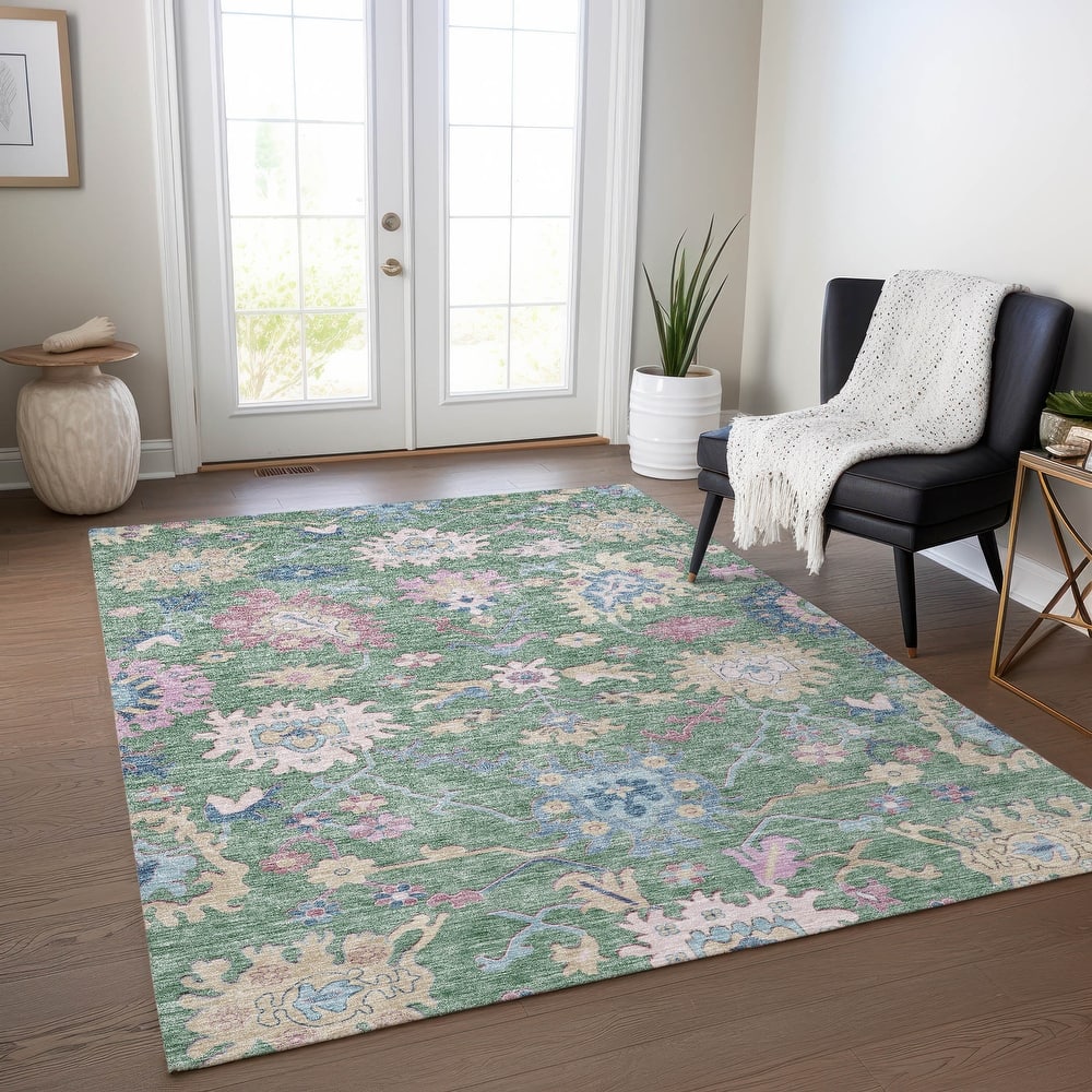 Machine Washable Indoor/ Outdoor Causal Traditional Chantille Rug