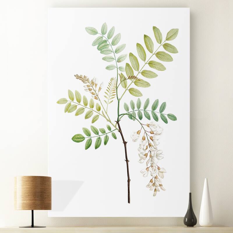 Soft Green Botanical I -Premium Gallery Wrapped Canvas