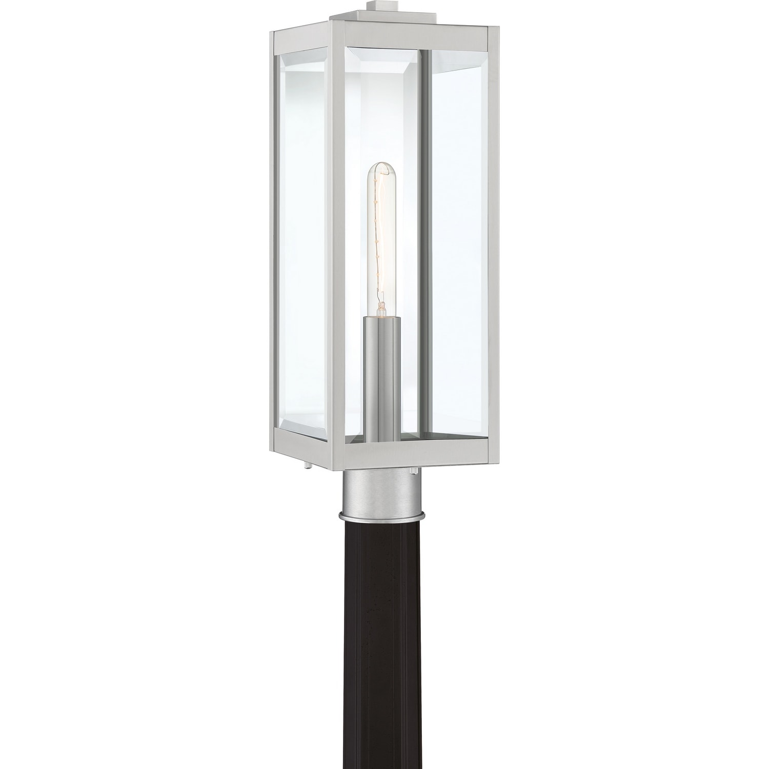 Westover 1-Light Outdoor Lantern in Stainless Steel