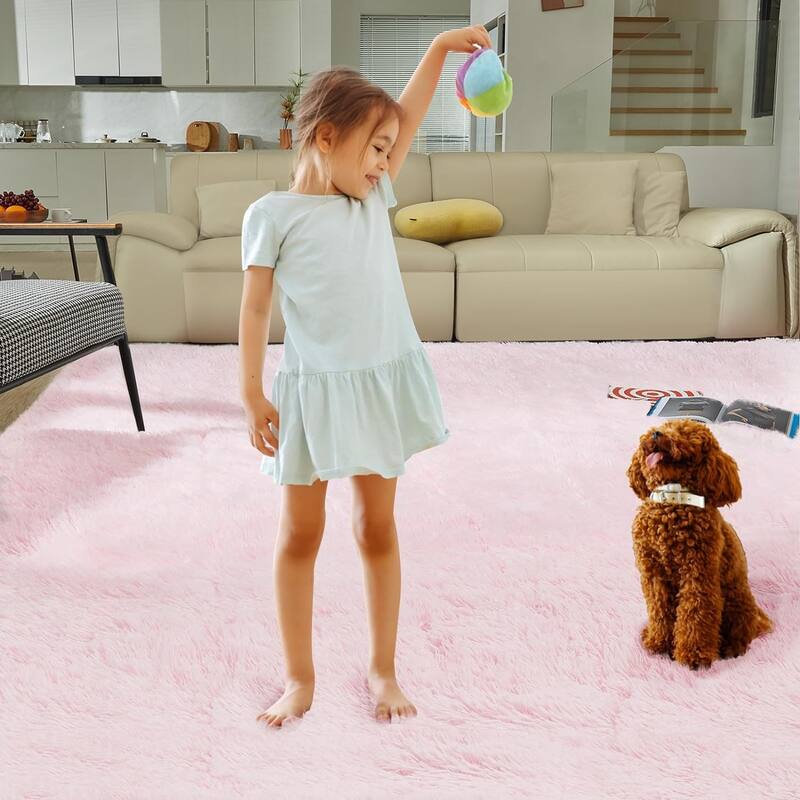 4X6 Fluffy Shag Area Rugs, Super Soft Rugs for Living Room