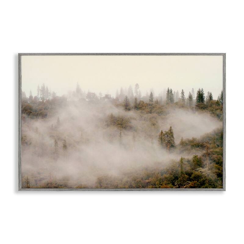 Stupell Morning Fog over Trees Framed Giclee Art Design By Gemma Bardot - 30 x 20 - Grey
