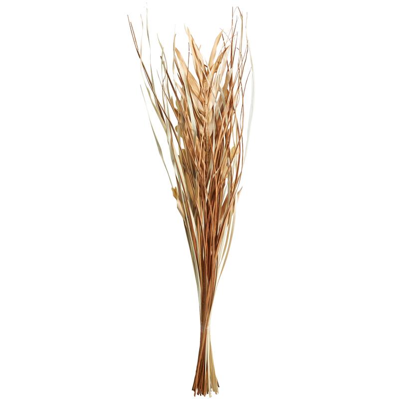 Beige or Light Brown Dried Plant Handmade Tall Floral Grass Bouquet Palm Leaf Natural Foliage
