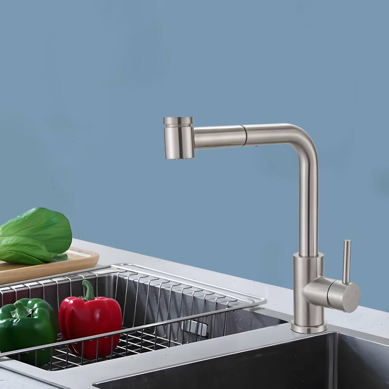 Topcraft Single Handle Pull-Out Stainless Steel Kitchen Faucet