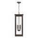 preview thumbnail 9 of 8, 11" W x 28.5" H 4-Light Outdoor Rectangular Hanging Lantern with Clear Glass - 11"W x 28.5"H