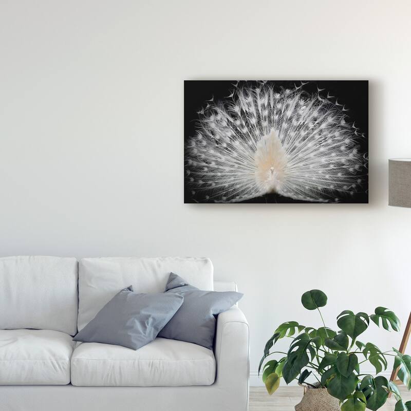 Pino Liddi 'White Peacock Portrait' Canvas Art