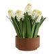 preview thumbnail 1 of 3, Uttermost Sincerity Potted Hyacinth Plant