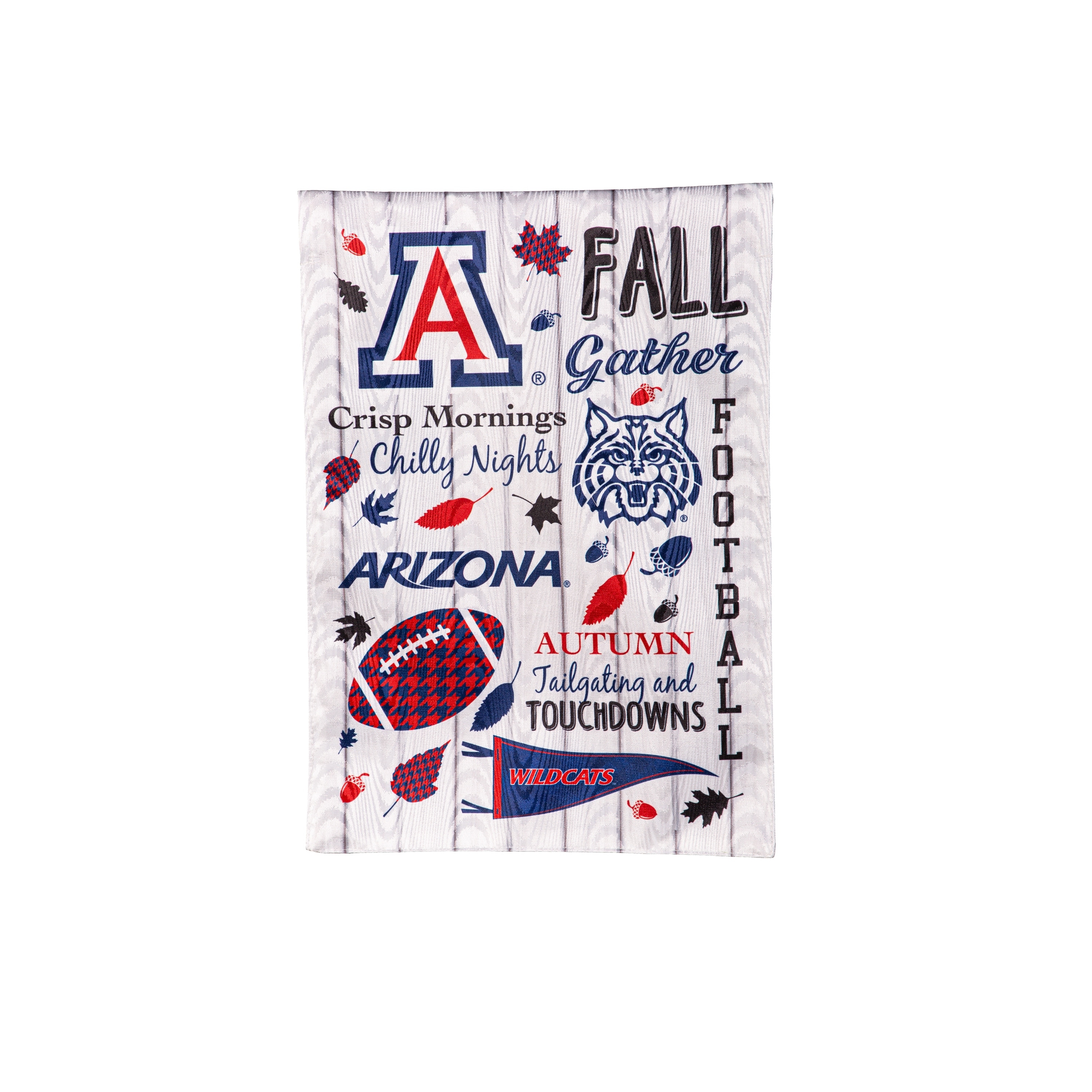 University of Arizona, Moire Flag, Garden, Fall Seasonal
