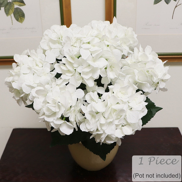 Hydrangea4937　1003 70636_alt1.jpg?fit=crop&