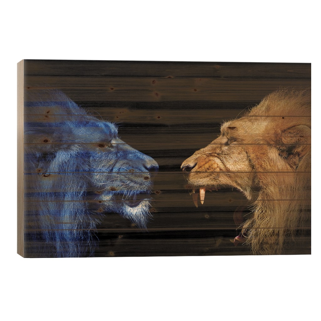 Lions In The Fight Print On Wood by Adrian Vieriu - Multi-Color