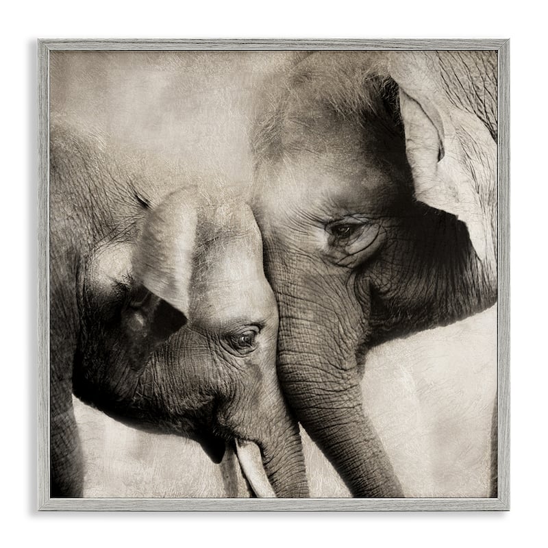 Stupell Elephant & Baby Hug Framed Giclee Art Design By CAD Designs - 12 x 12 - Grey