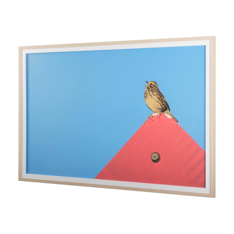 Morning Song Framed Art Print