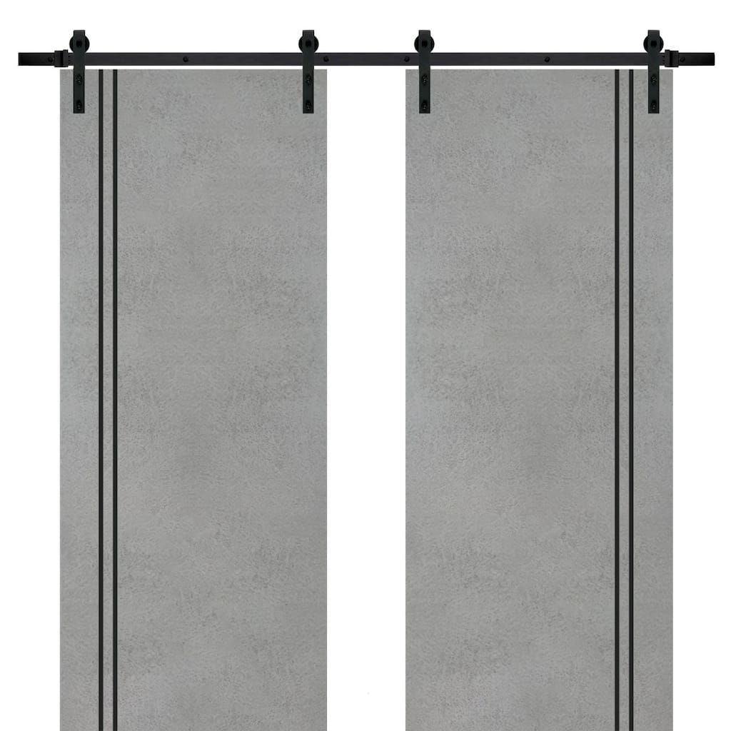 Sturdy Double Barn Door 36 x 80 with Planum 0016 Concrete with 13FT