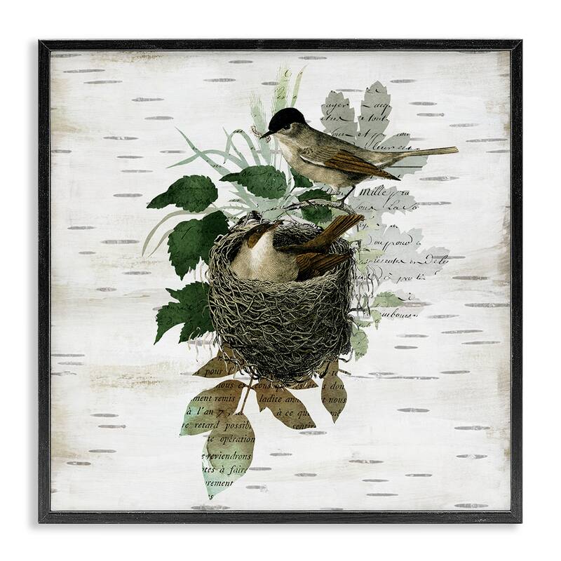 Stupell Birds in Vintage Nest Framed Giclee Art Design By Susan Arnot - 24 x 24 - Black