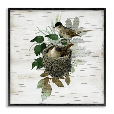 Stupell Birds in Vintage Nest Framed Giclee Art Design By Susan Arnot