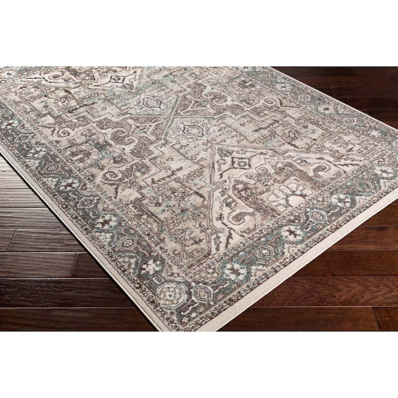 Livabliss Meena Traditional Oriental Area Rug