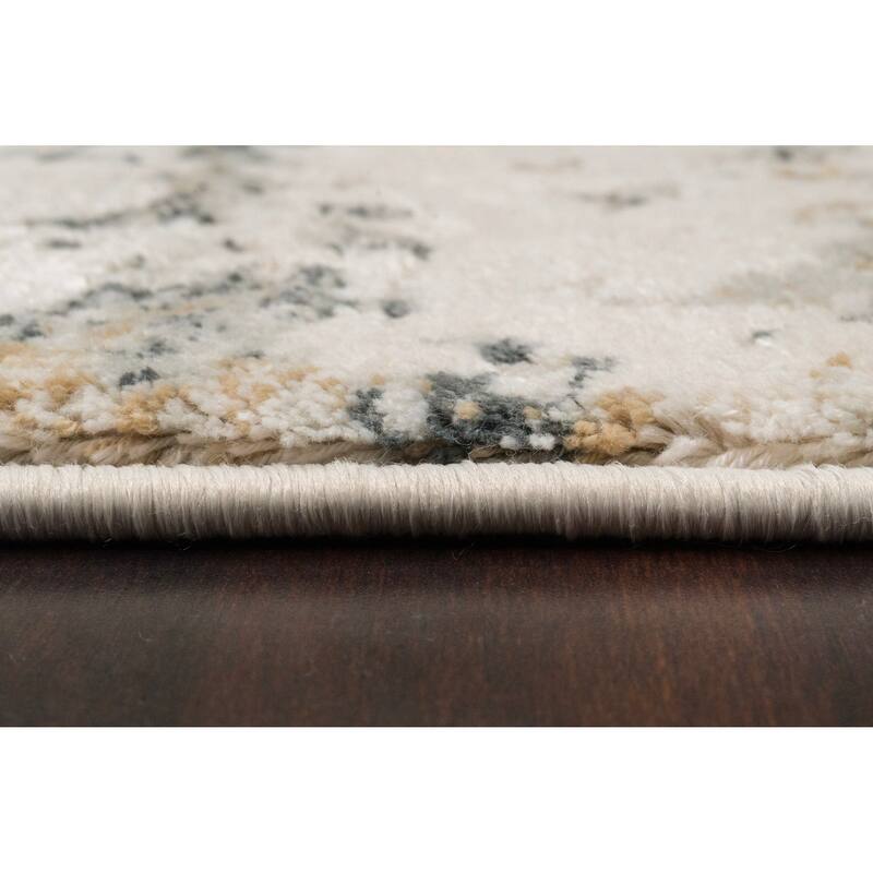 Dynamic Rugs Quartz Transitional Area Rug