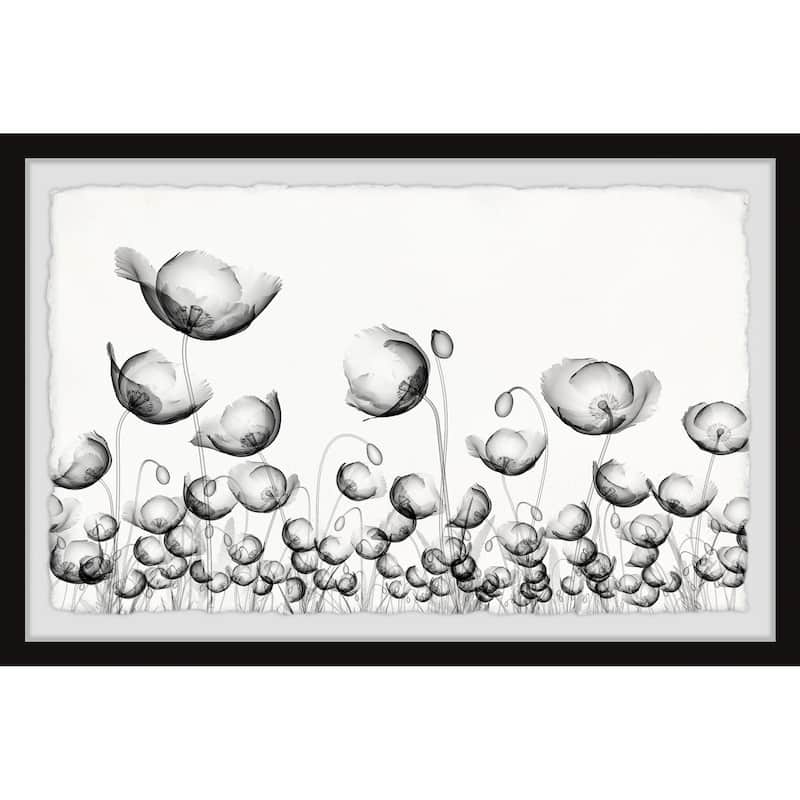 'Poppy Fields' Framed Painting Print