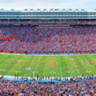 Shop Masterpieces 91314 Blakeway Clemson University Puzzle