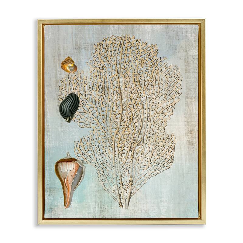 Stupell Detailed Coral & Seashells Framed Floater Canvas Wall Art Design By Susan Arnot - 25 x 31 - Gold