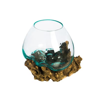 11 in. Medium Glass Planter on Driftwood