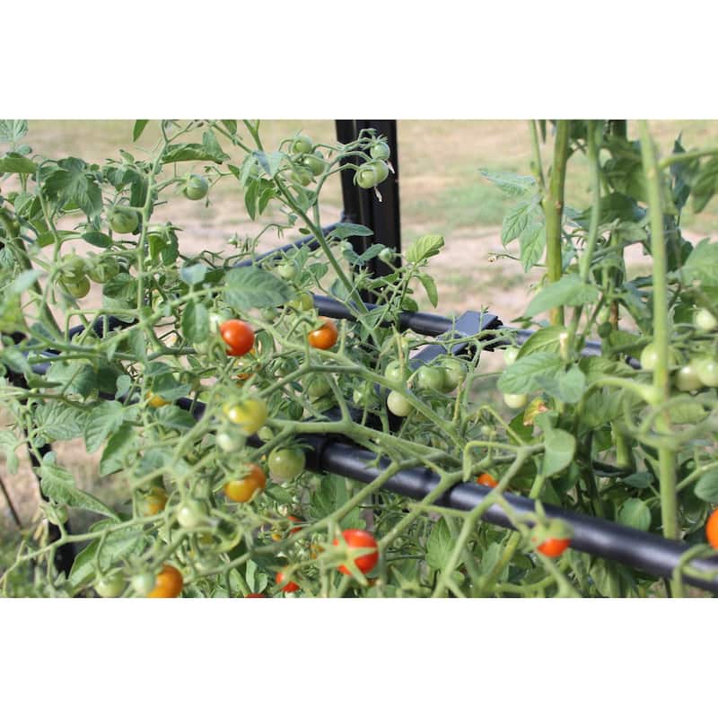 Haxnicks Tomato Crop Booster with Cover 40"W x 64"H x 20"D