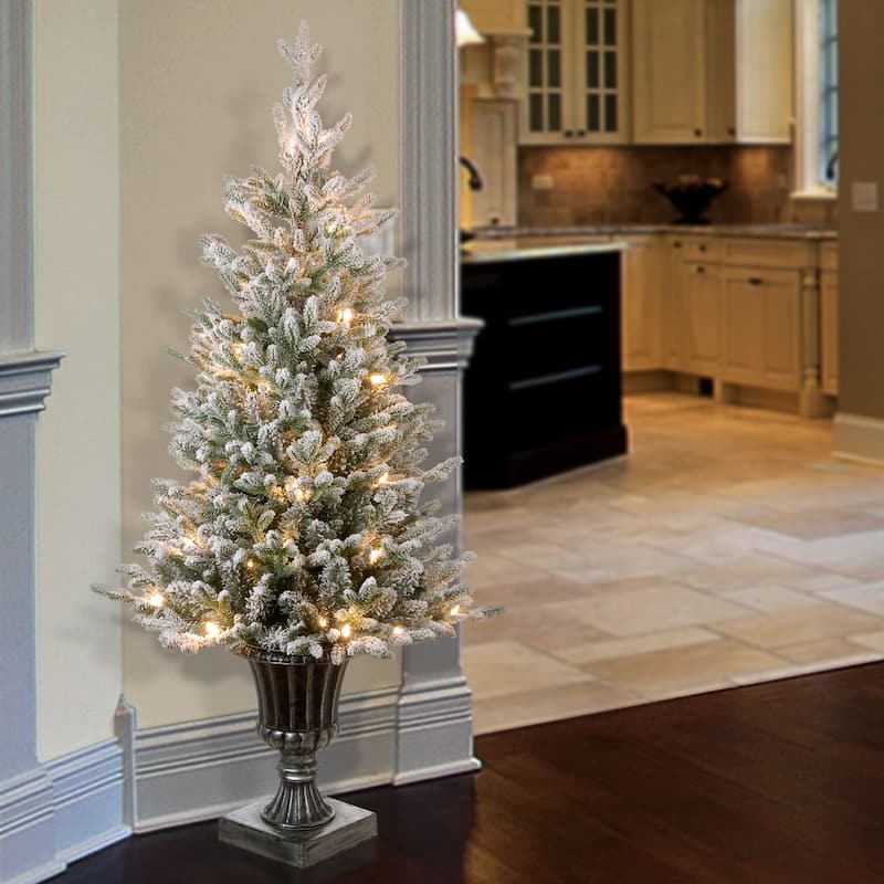 National Tree Company 4 ft. Iceland Fir Entrance Tree with Clear Lights - 4 Foot