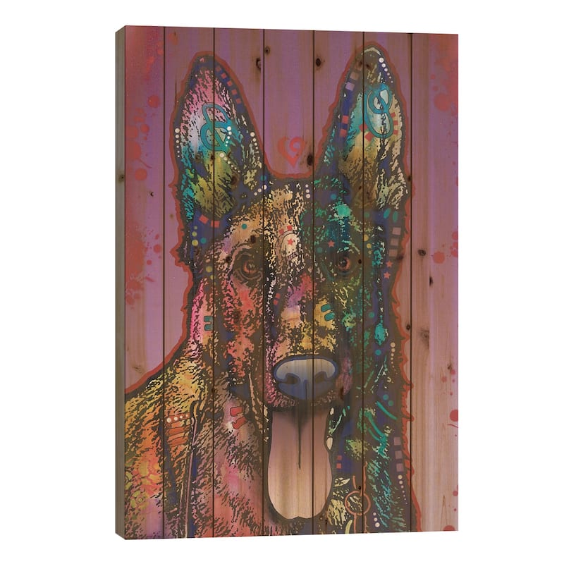 Ninja Print On Wood by Dean Russo - Multi-Color - 26x18x1.5