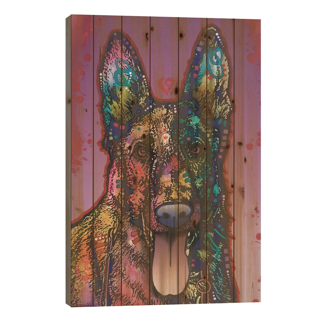 Ninja Print On Wood by Dean Russo - Multi-Color